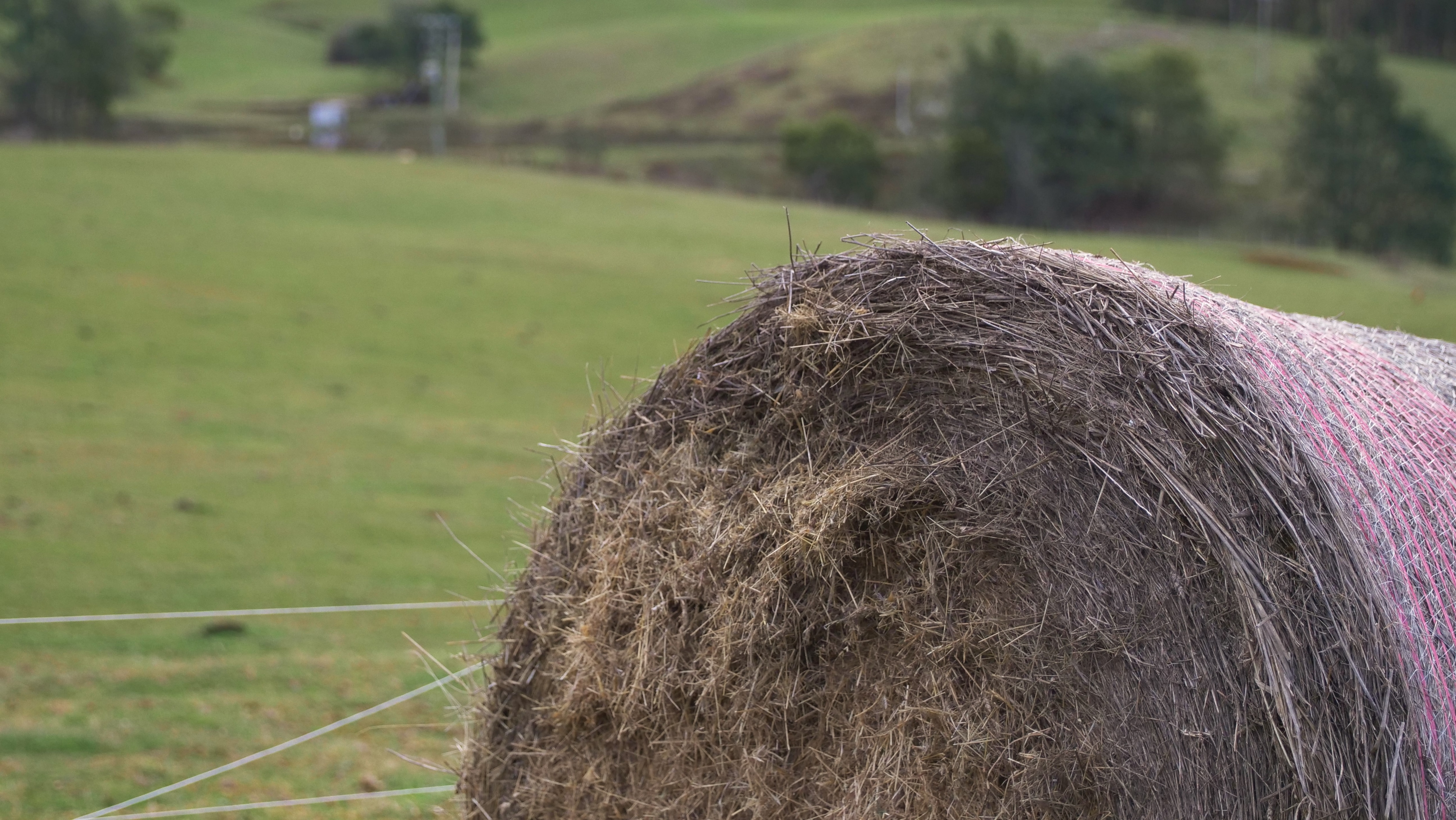 Primer plano de un solo fardo de heno junto a un pasto verdoso