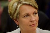Tanya Plibersek