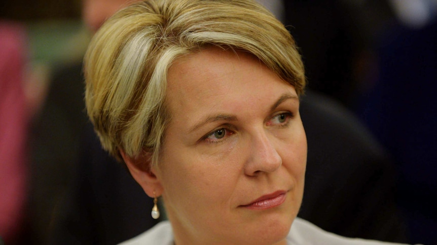 Tanya Plibersek