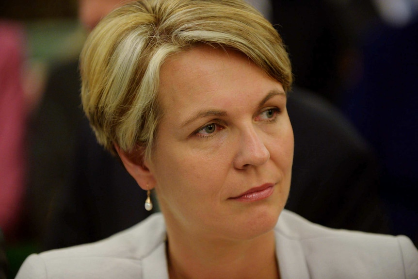 Tanya Plibersek