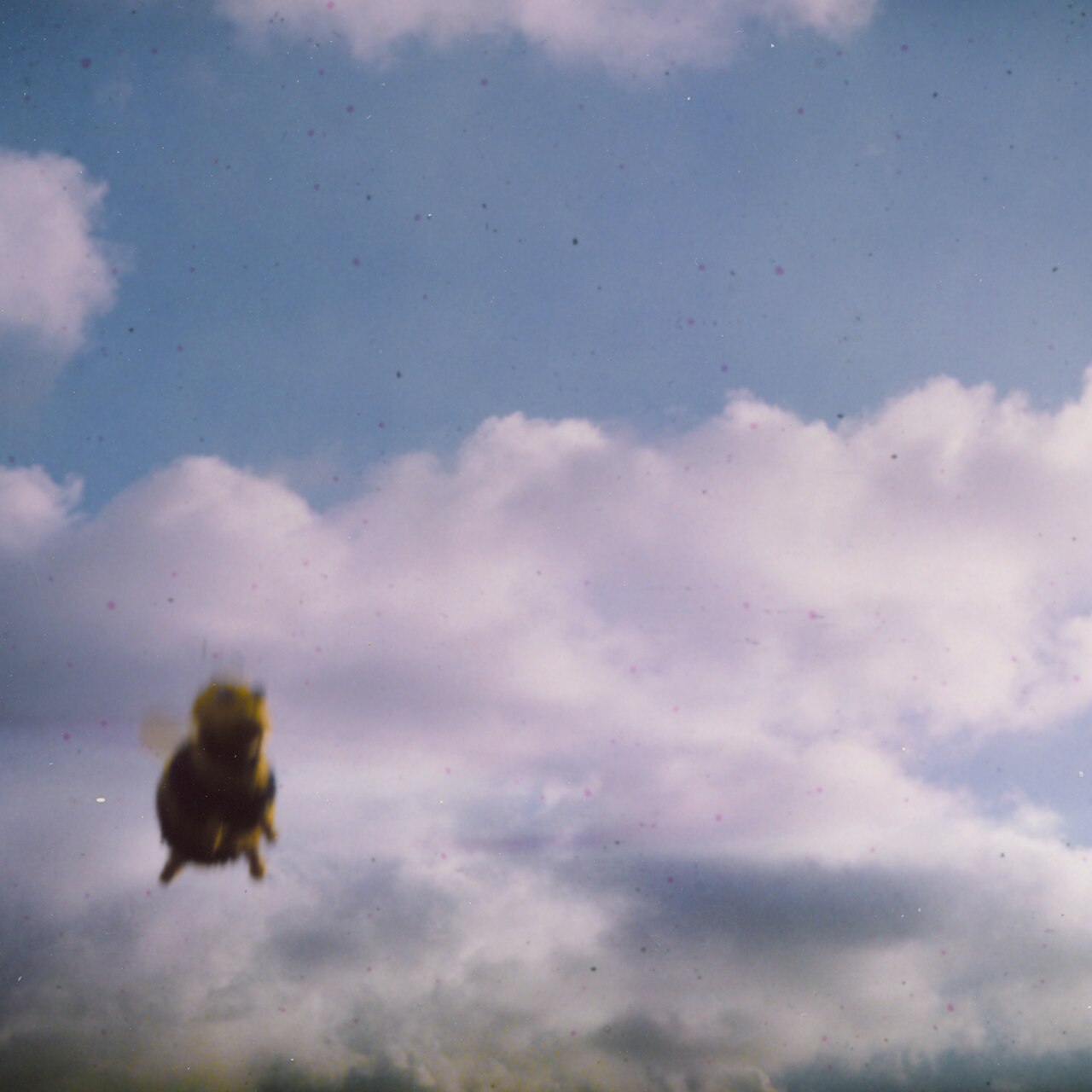 A blue sky with a small blurry fur creature in frame.