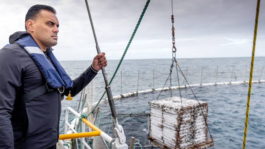 Man stands on the side of a boat looking out to sea at some tuna