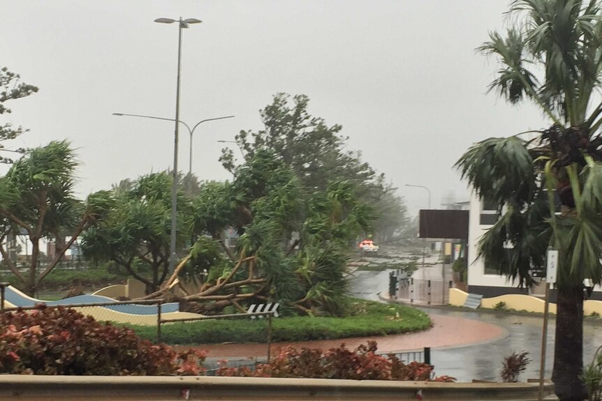 Trees down in Yeppoon during Tropical Cyclone Marcia