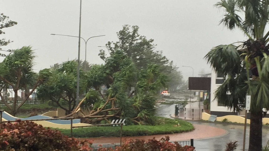 Trees down in Yeppoon during Tropical Cyclone Marcia