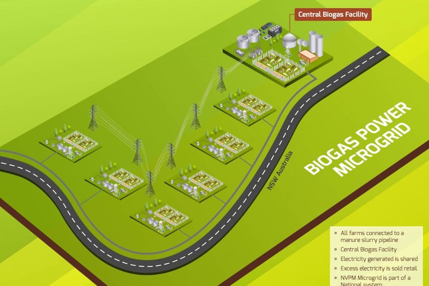 Plan showing biogas plant connecting to electricity poles and wires planned for dairy farm effluent in Nowra