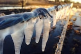 Icicles on a fence line.