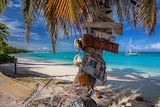 A palm tree and hammock on a pristine white sand beach.