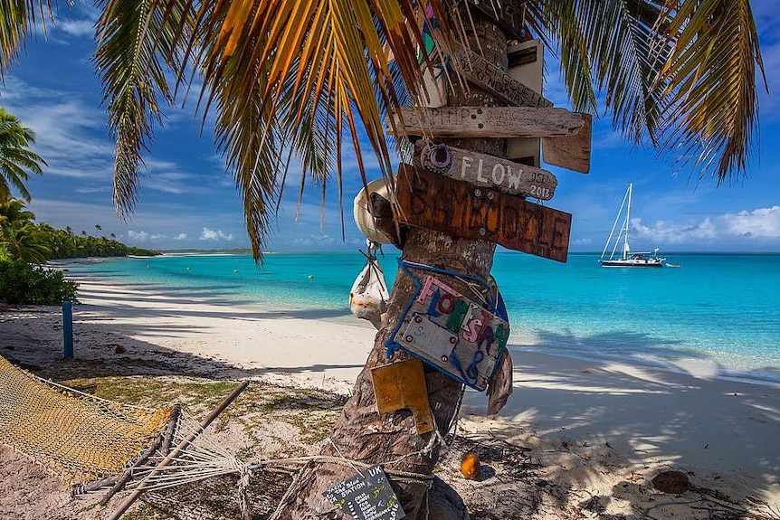 A palm tree and hammock on a pristine white sand beach.