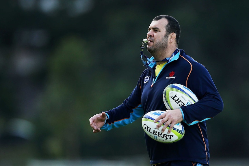 Double duties ... Michael Cheika