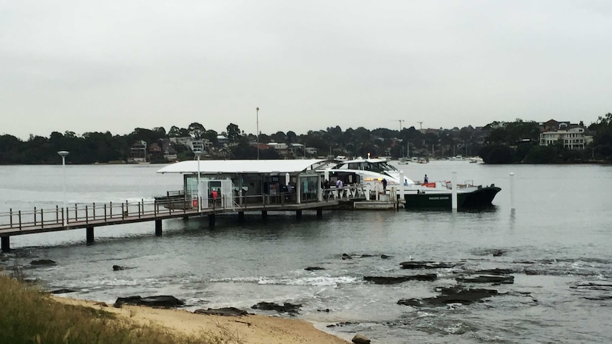 A man is being questioned by police after reports of a woman being assaulted at Cabarita Wharf in Sydney's inner west.