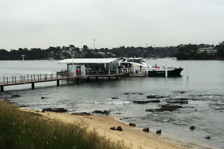 A man is being questioned by police after reports of a woman being assaulted at Cabarita Wharf in Sydney's inner west.