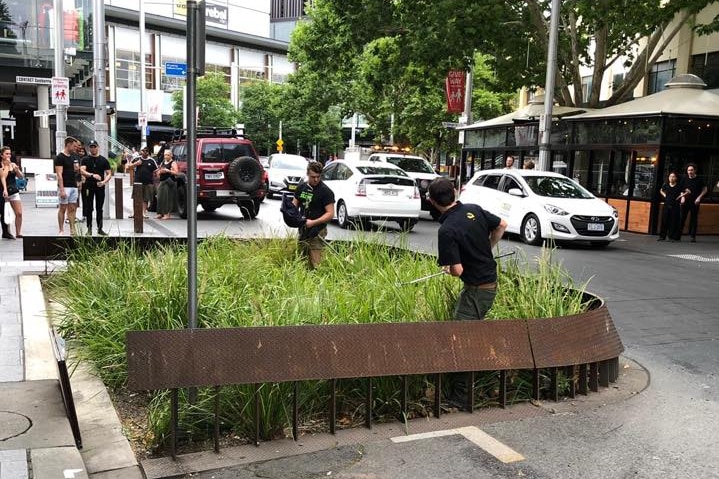 Two men with snake catching equipment on a city street.