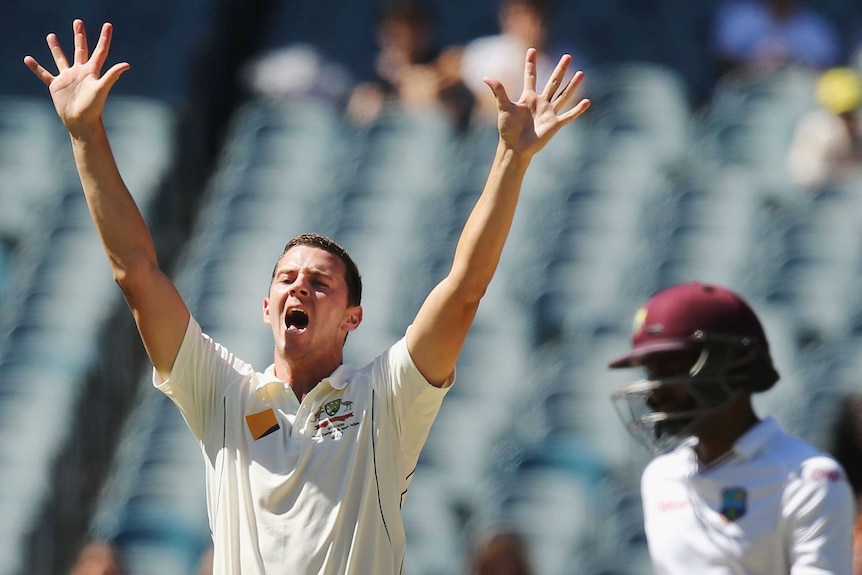 Australia's Josh Hazlewood unsuccessfully appeals for a dismissal on day four at the MCG