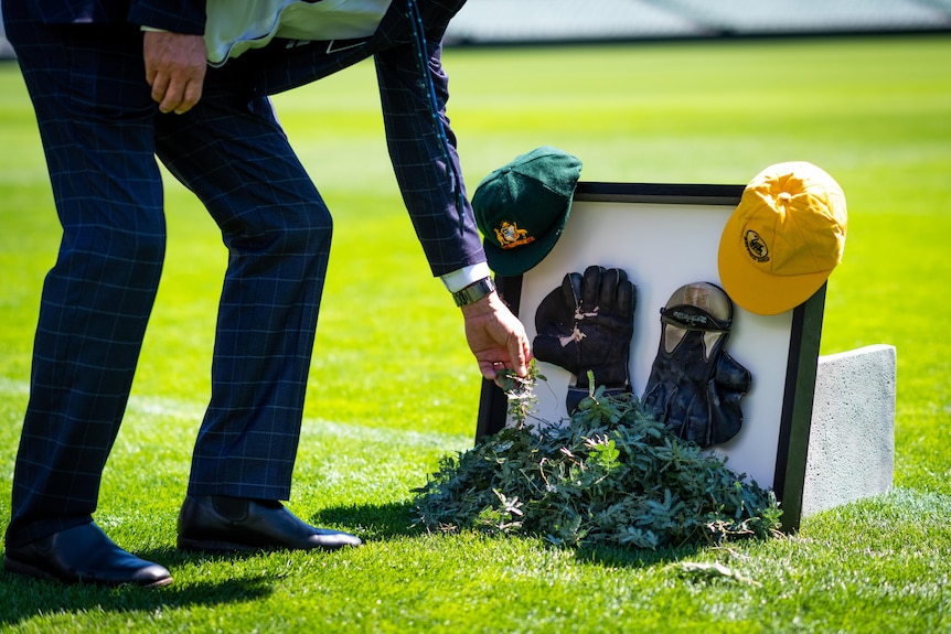 Sprigs of wattle are placed next to Rod Marsh's wicketkeeping gloves