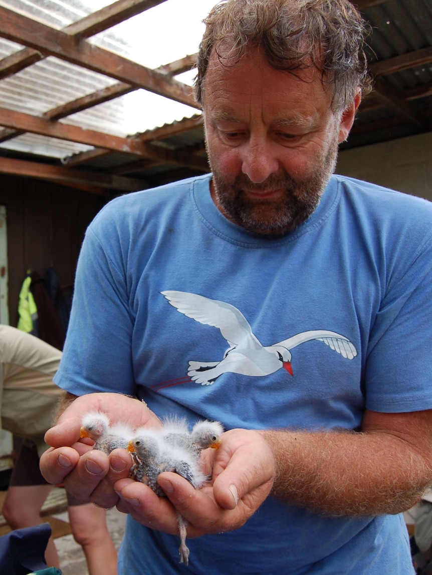 Man holding baby orange-bellied parrots.