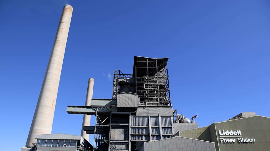 The Liddell Power Station is seen from across a road. The sky is blue and the grass is dry.