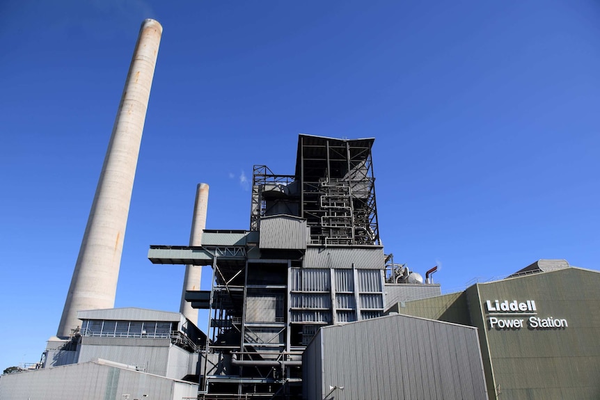 The Liddell Power Station is seen from across a road. The sky is blue and the grass is dry.