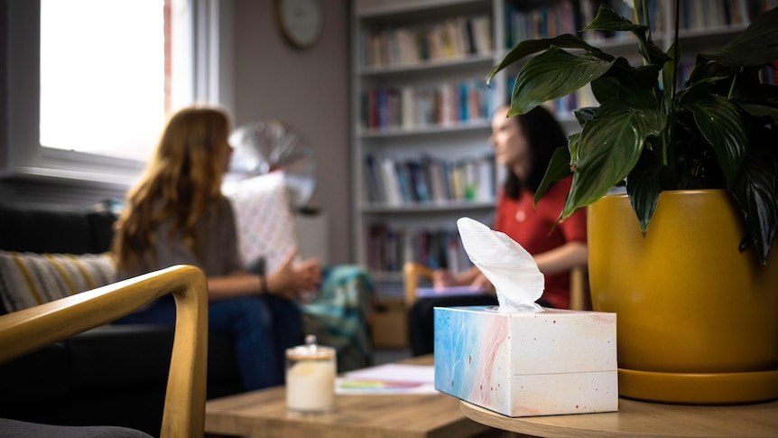 The photo focuses on a box of tissues on a table. In the background, blurred, two women speak on an office couch.