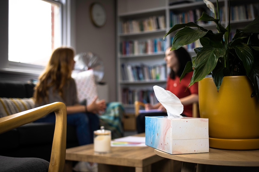 The photo focuses on a box of tissues on a table. In the background, blurred, two women speak on an office couch.