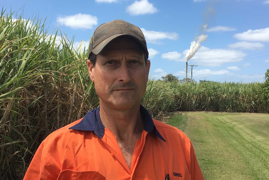 Woongoolba cane farmer Greg Zipf with the Rocky Point Sugar Mill in the background