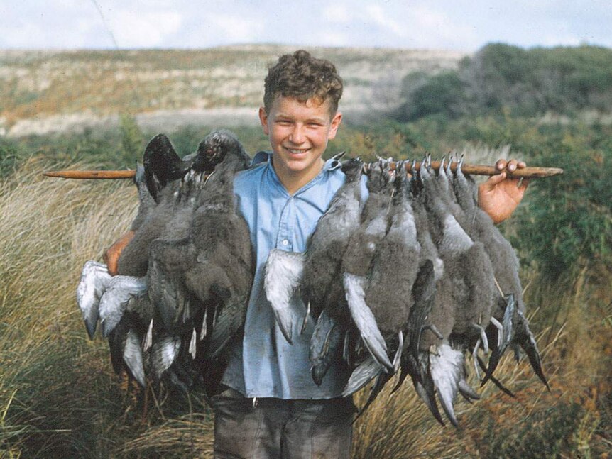 An early-teens boy smiling with a stick of harvested mutton birds across his shoulders