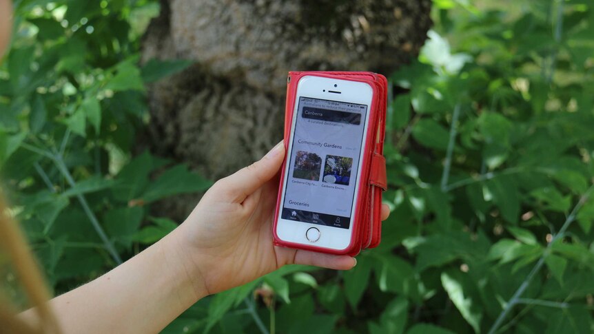 An arm holding a phone out that shows the Neighbourhood Effect App