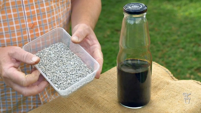 Hands holding a plastic tray filled with grey granular material and a large sauce jar filled with a brown liquid