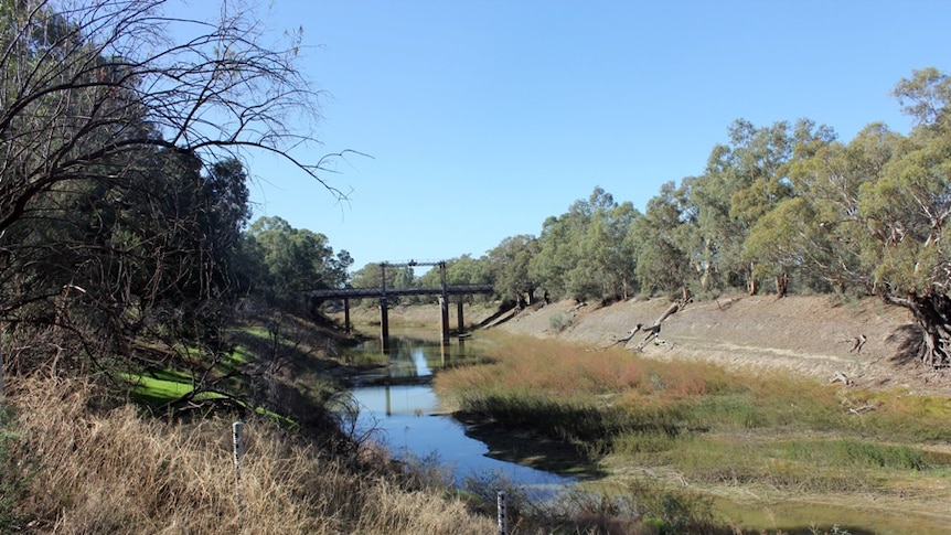 A very shallow Darling River in puddles beneath the Wilcannia Bridge, with markers showing past flood levels.