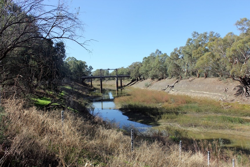 A very shallow Darling River in puddles beneath the Wilcannia Bridge, with markers showing past flood levels.