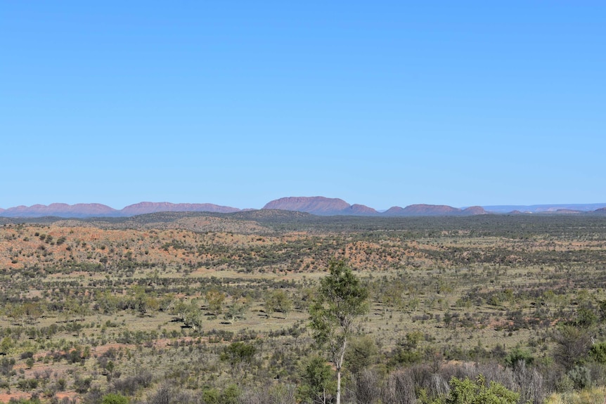 Shot of Central Australian landscape, grassy hills with red ranges in the background.