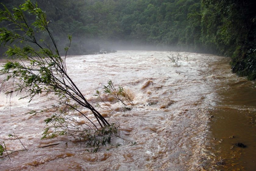 Flooded Bellinger river in April 2009