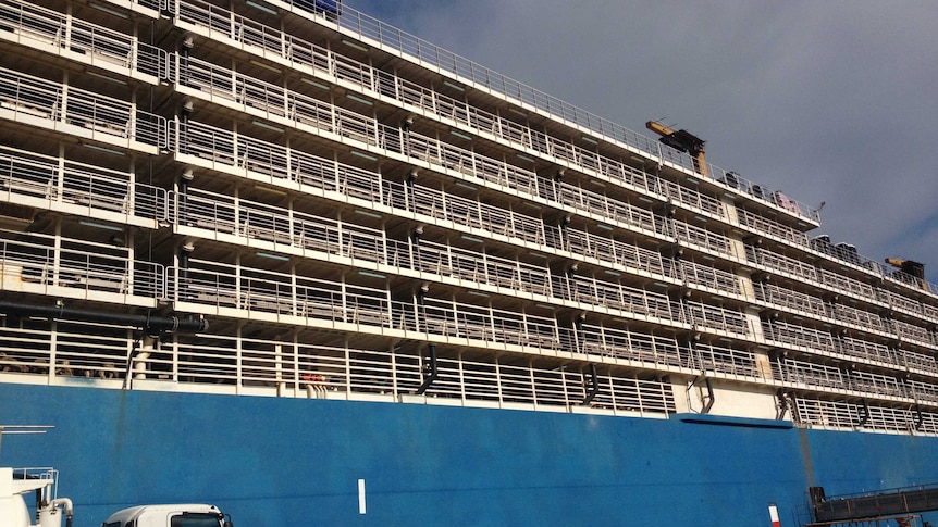 Sheep on a live export vessel