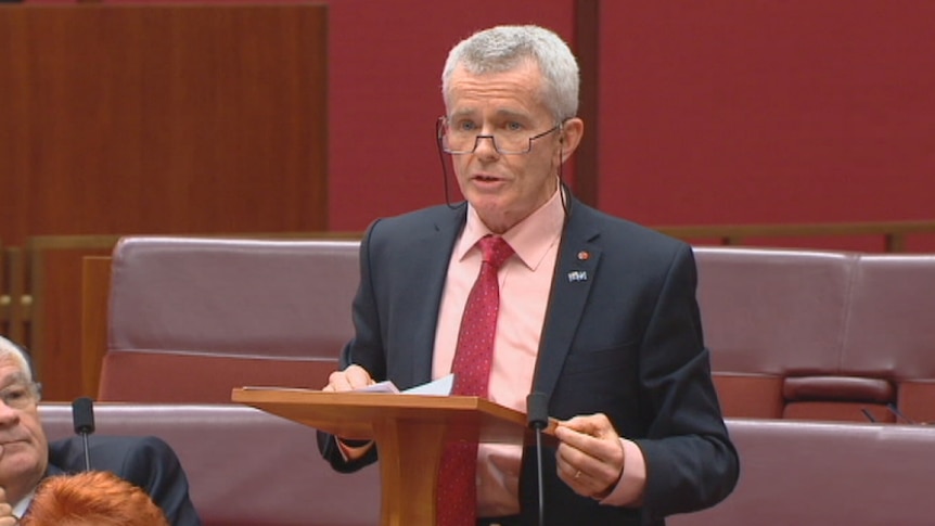 One Nation senator Malcolm Roberts peers over his glasses as he makes his first speech in parliament.