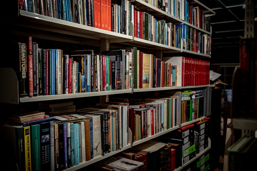 Thousands of books line the walls of Angus Emmott's shed.