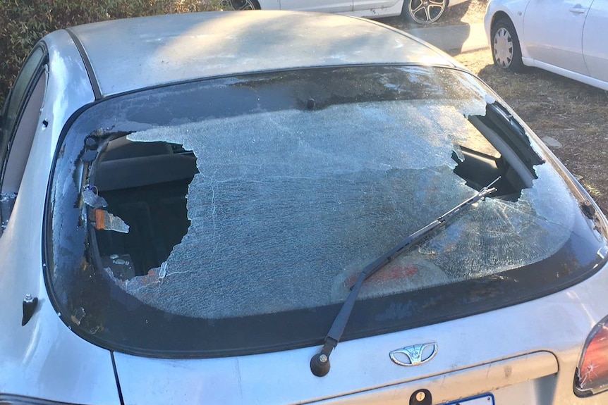 A car's rear windscreen with bullet holes.