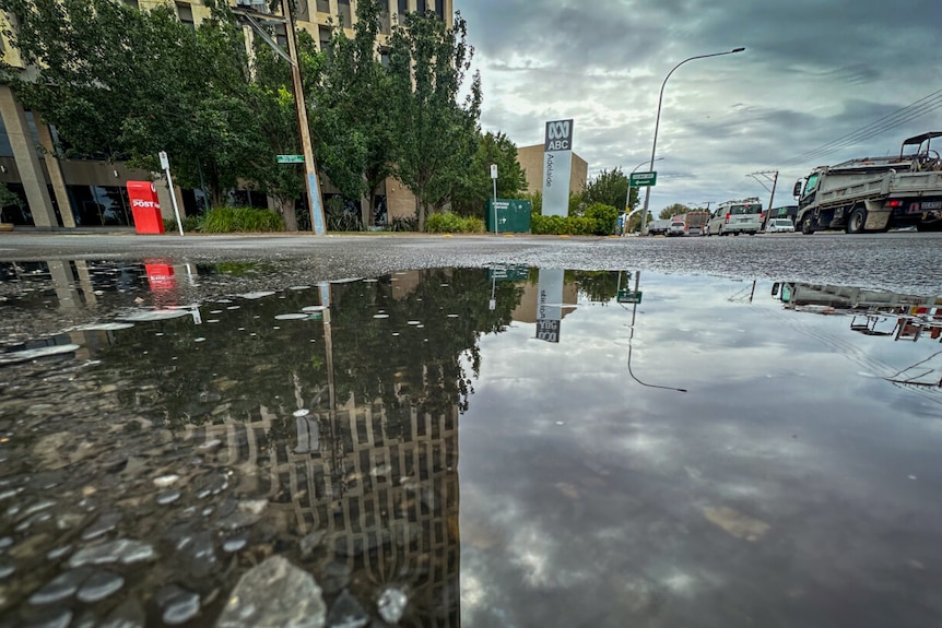 Low to the ground shot of a puddle with ABC building and post box in background.