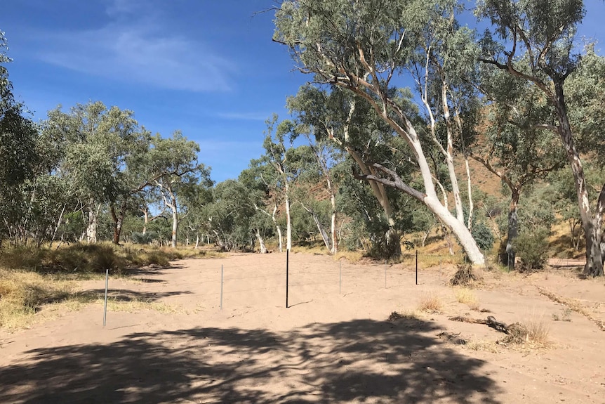 A new fence at Trephina Gorge in the East MacDonnell Ranges.