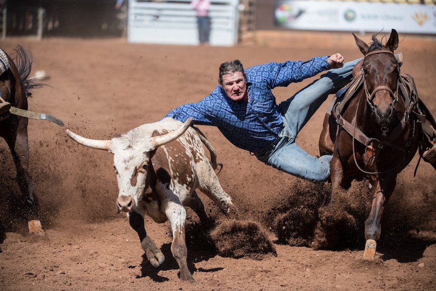 Man jumping off horse and reaching towards a cow with horns in a rodeo ring.