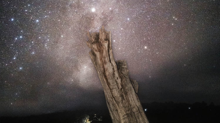 A photograph of a dead tree stump next to a lake with a starry night sky. 