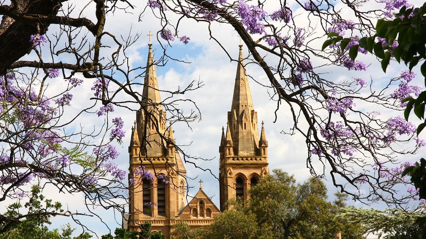 A cathedral looking through tree branches