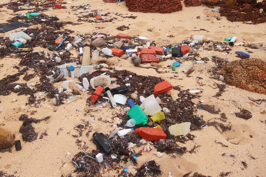 A photo of a beach strewn with plastic in Cape Arnhem.