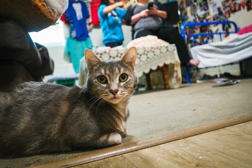 Two women in a room and a cat laying on the floor.