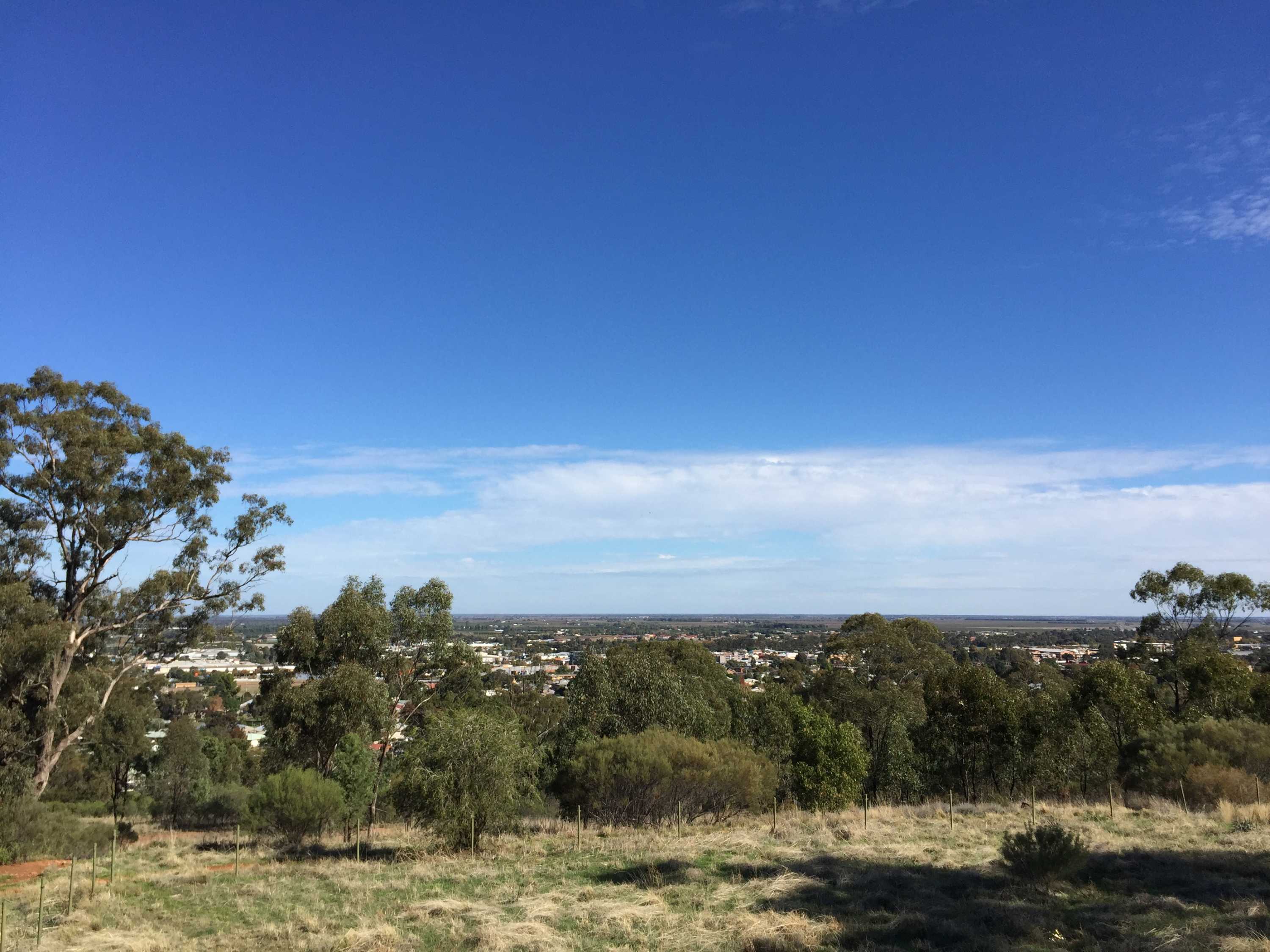 Murrumbidgee Irrigation Area on cusp of 'golden period' for growth and ...