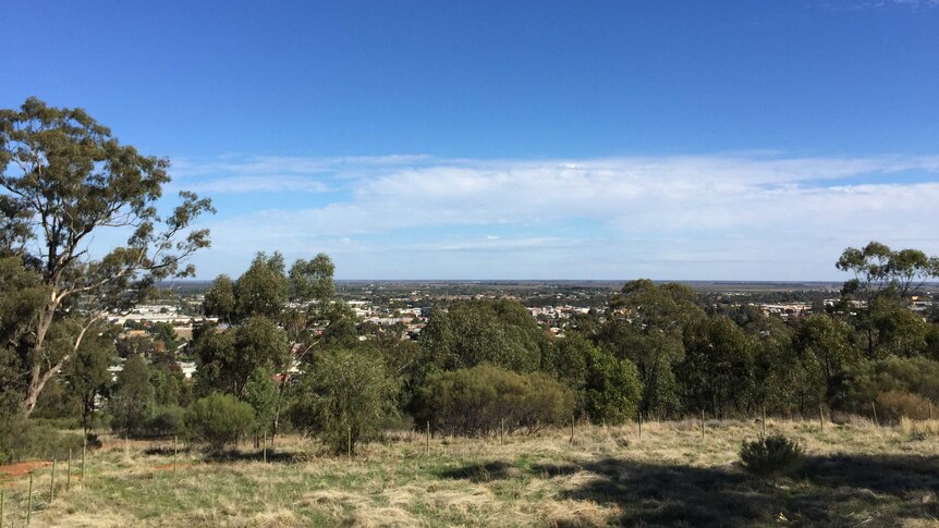 The NSW Riverina city of Griffith from Scenic Hill.