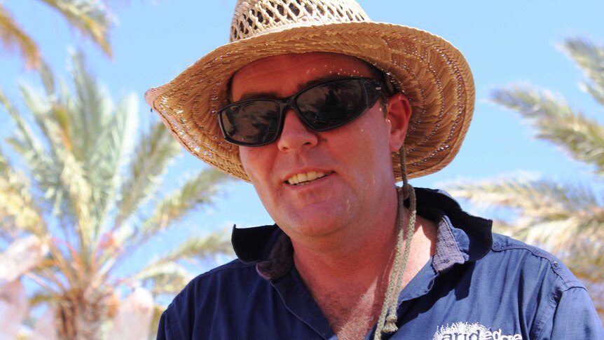 A profile shot of date farmer Ben Wall. He has a straw hat, blue shirt and is wearing dark sunglasses