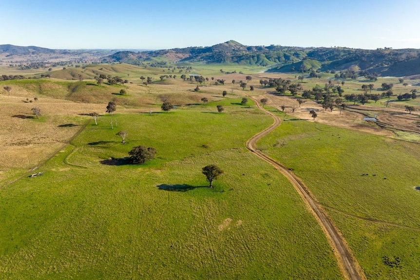 An aerial view of green paddock and green hills.