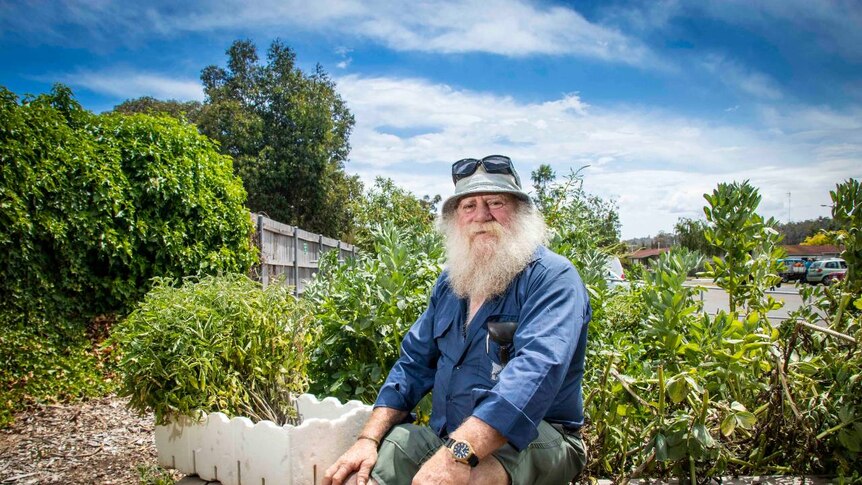 A man with a white beard sits next to a vegetable patch