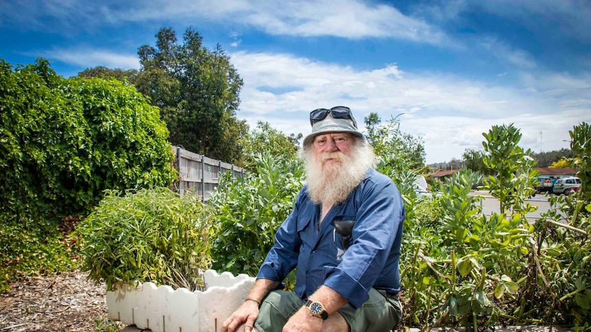 A man with a white beard sits next to a vegetable patch