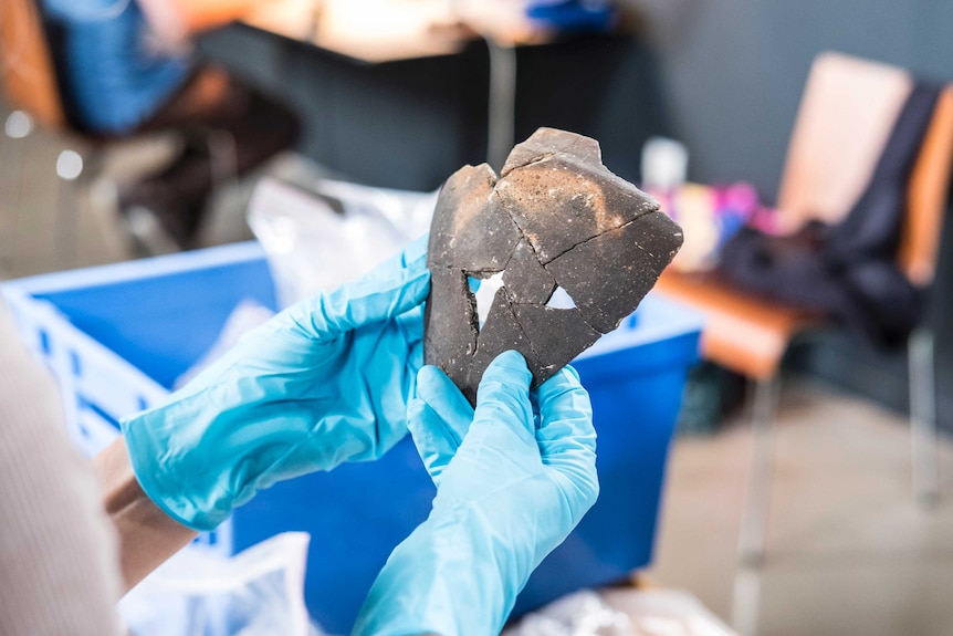 Broken sherd of ancient pottery held in two blue gloved hands in a lab