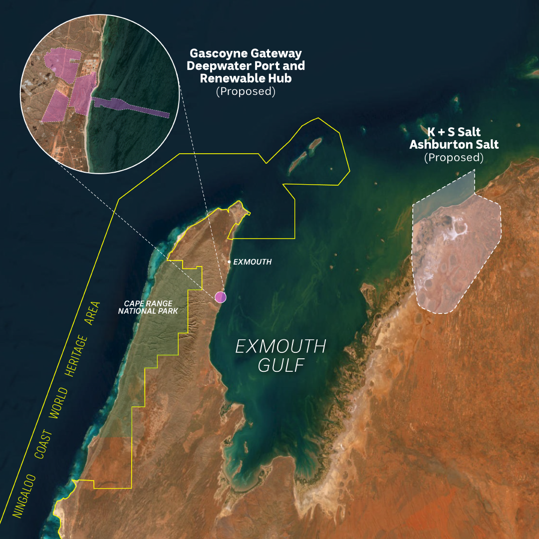 Aerial satellite view of a coastline and ocean with line boundaries and place names.